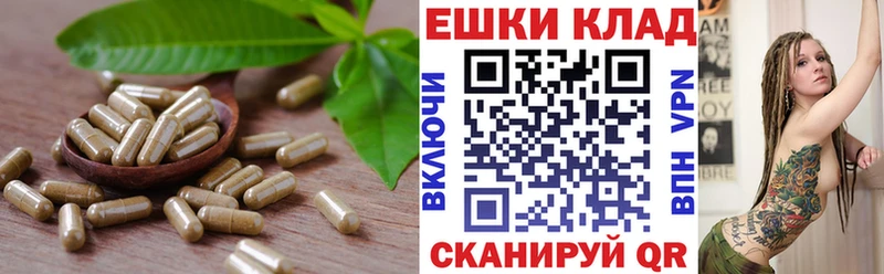 ЭКСТАЗИ 300 mg  Купить где  Саров 