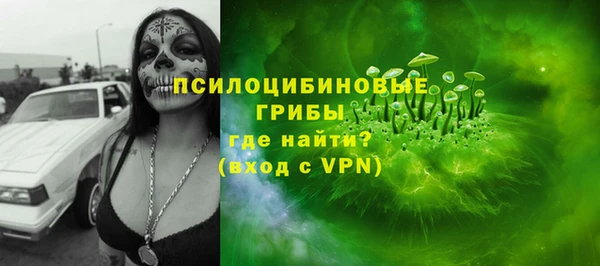 PSILOCYBIN Лагань