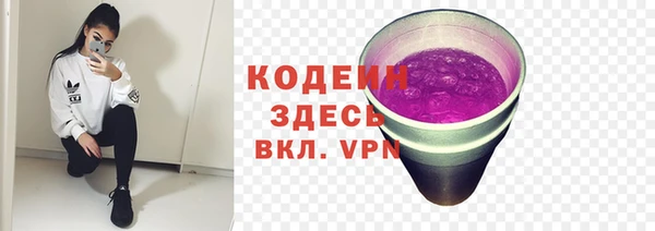 PSILOCYBIN Лагань