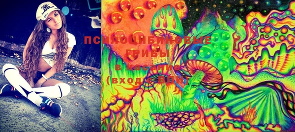 mix Лабытнанги