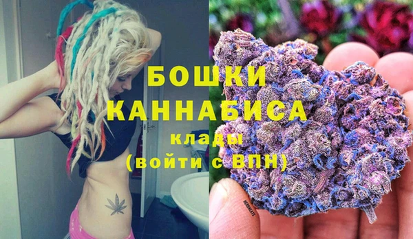 PSILOCYBIN Лагань