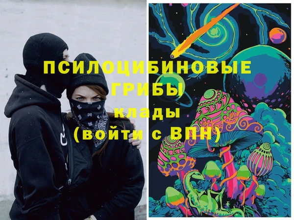 PSILOCYBIN Лагань