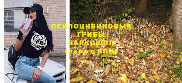 PSILOCYBIN Лагань