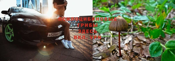 PSILOCYBIN Лагань