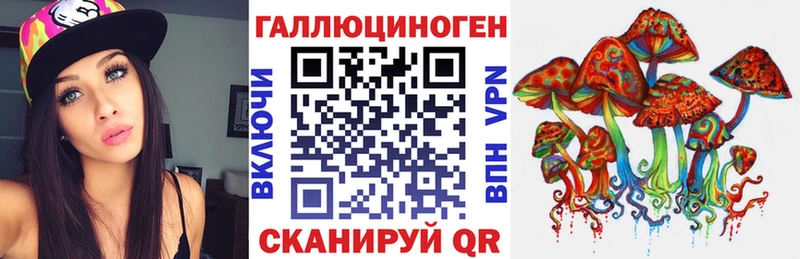 Купить где  Саров  Псилоцибиновые грибы Cubensis 